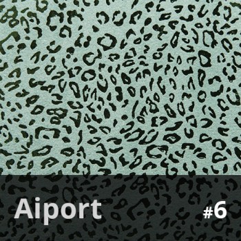 Aiport 6